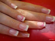 Best Nails - picike rózsaszín rózsákkal