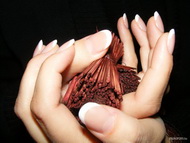 Best Nails - ép porci