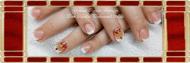 Best Nails - French nail