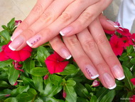 Mani Tip