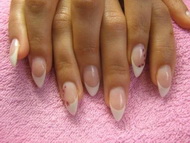 francia + szárazvirág