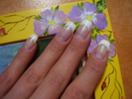 Best Nails - fehér francia