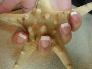Best Nails - egyszerű francia