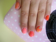 Legújabb színekkel