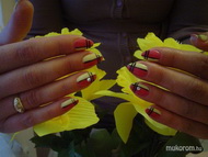 Best Nails - Játékos gél lakk