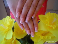 Best Nails - Francia gél lakk