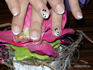 Szolidat kért a kórházba