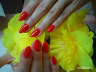 Best Nails - Mártának gél lakk