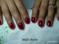 Shellac Magdinak 