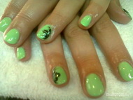 Best Nails - Pisztacia gel lakk