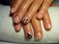 Hozott kép alapján