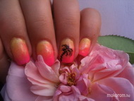 Magamnak egy kis HAWAI