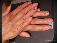 szolidan téli új szín