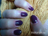 Új őszi kollekcióból