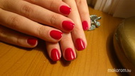 shellac