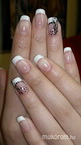 Shellac