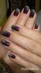 Gabinak Shellac