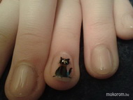 Best Nails - macsek