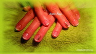 shellac