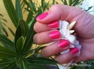 Best Nails - Gel polish