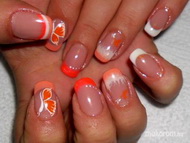 Narancsos pillangós