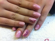 Best Nails - Shellac
