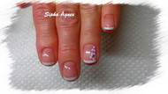 francia shellac