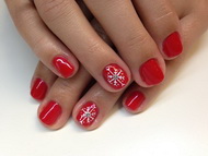 Zselés festés ROYAL GEL