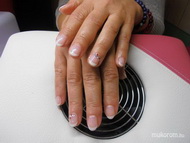 Francia Shellac