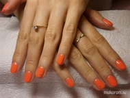 Best Nails - Szilvinek gél lakk