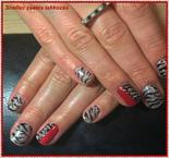 Zebra csíkos