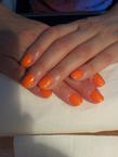 Best Nails - Gel polish