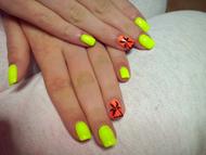 Virágnak pálmafás