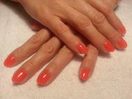 Best Nails - Gel polish