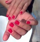shellac