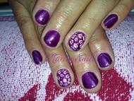 tigris szem crystalac