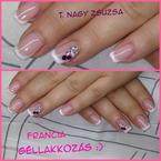 Francia géllakk 