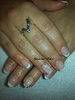 Shellac francia