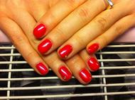 Best Nails - géllakk