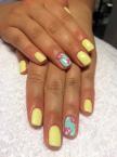 Best Nails - Gél lakk