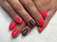 Best Nails - Gel polish