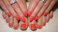 Royal gel