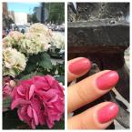 Best Nails - Gel polish