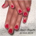 Piros shellac