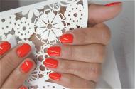 Petra Nails