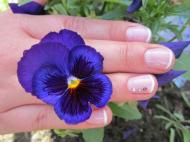 Még egy kis francia