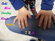 Pici vendég 10szín körme