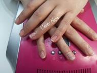 Francia géllakkozás