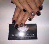 Erősített géllakk