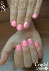Best Nails - Gél lakk 